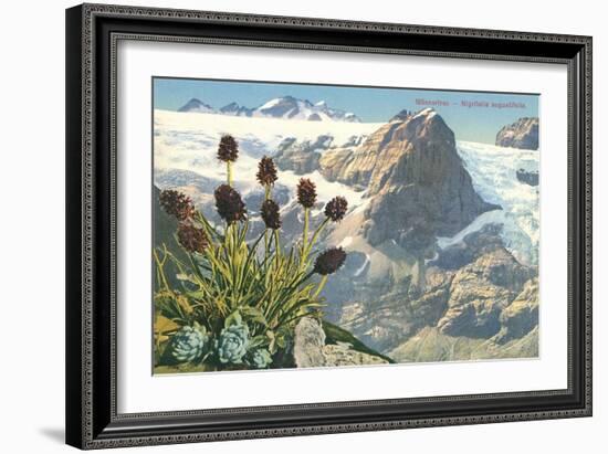 Mountain Flowers, Swiss Alps-null-Framed Art Print