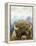 Mountain Fluffy Bison-Marcus Prime-Framed Stretched Canvas