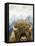 Mountain Fluffy Bison-Marcus Prime-Framed Stretched Canvas