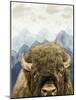 Mountain Fluffy Bison-Marcus Prime-Mounted Art Print
