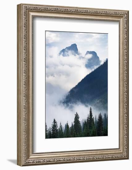 Mountain Fog-Alan Majchrowicz-Framed Photographic Print