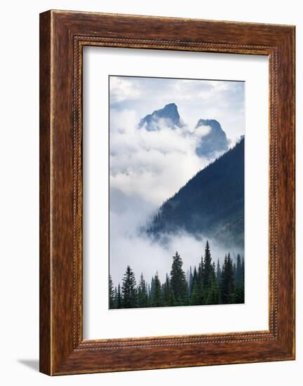 Mountain Fog-Alan Majchrowicz-Framed Photographic Print