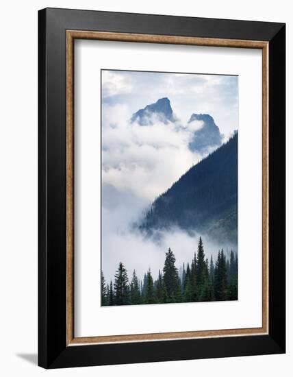 Mountain Fog-Alan Majchrowicz-Framed Photographic Print