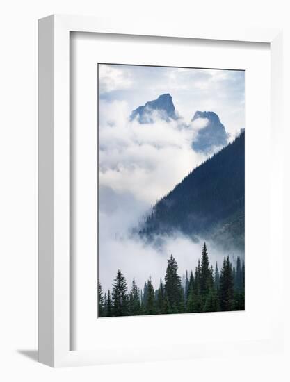 Mountain Fog-Alan Majchrowicz-Framed Photographic Print