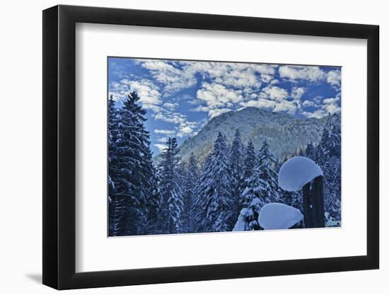 Mountain Forest with Lofer Mountains-Stefan Sassenrath-Framed Photographic Print