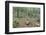 Mountain Forest-Rob Tilley-Framed Photographic Print