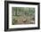 Mountain Forest-Rob Tilley-Framed Photographic Print