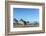 Mountain Fox on El Palmar National Park, Argentina-Anibal Trejo-Framed Photographic Print