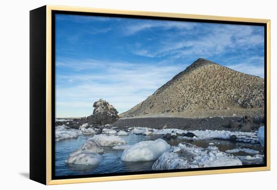 Mountain full of imperial shags (Phalacrocorax atriceps), Paulet Island, Antarctica, Polar Regions-Michael Runkel-Framed Premier Image Canvas