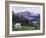 Mountain Goat Adult with Summer Coat, Hidden Lake, Glacier National Park, Montana, Usa, July 2007-Rolf Nussbaumer-Framed Photographic Print