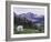 Mountain Goat Adult with Summer Coat, Hidden Lake, Glacier National Park, Montana, Usa, July 2007-Rolf Nussbaumer-Framed Photographic Print