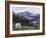 Mountain Goat Adult with Summer Coat, Hidden Lake, Glacier National Park, Montana, Usa, July 2007-Rolf Nussbaumer-Framed Photographic Print