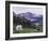 Mountain Goat Adult with Summer Coat, Hidden Lake, Glacier National Park, Montana, Usa, July 2007-Rolf Nussbaumer-Framed Photographic Print