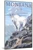 Mountain Goat and Kid - Montana-Lantern Press-Mounted Art Print