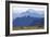 Mountain Goat, Cascade Mountain Range-Ken Archer-Framed Photographic Print