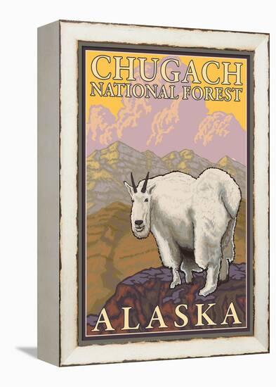 Mountain Goat, Chugach National Forest, Alaska-Lantern Press-Framed Stretched Canvas