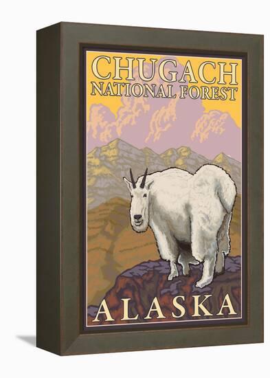 Mountain Goat, Chugach National Forest, Alaska-Lantern Press-Framed Stretched Canvas