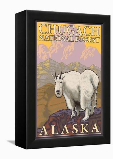 Mountain Goat, Chugach National Forest, Alaska-Lantern Press-Framed Stretched Canvas