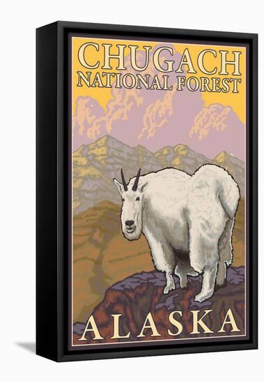 Mountain Goat, Chugach National Forest, Alaska-Lantern Press-Framed Stretched Canvas