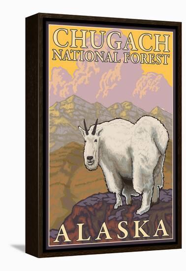 Mountain Goat, Chugach National Forest, Alaska-Lantern Press-Framed Stretched Canvas