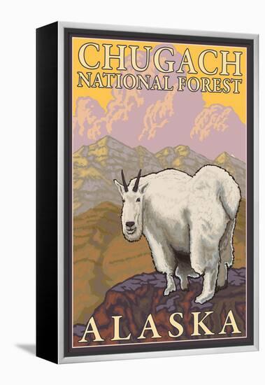 Mountain Goat, Chugach National Forest, Alaska-Lantern Press-Framed Stretched Canvas