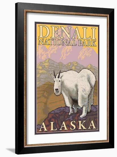 Mountain Goat, Denali National Park, Alaska-Lantern Press-Framed Art Print