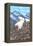 Mountain Goat Family-Lantern Press-Framed Stretched Canvas