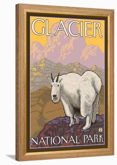 Mountain Goat, Glacier National Park, Montana-Lantern Press-Framed Stretched Canvas