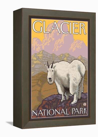 Mountain Goat, Glacier National Park, Montana-Lantern Press-Framed Stretched Canvas