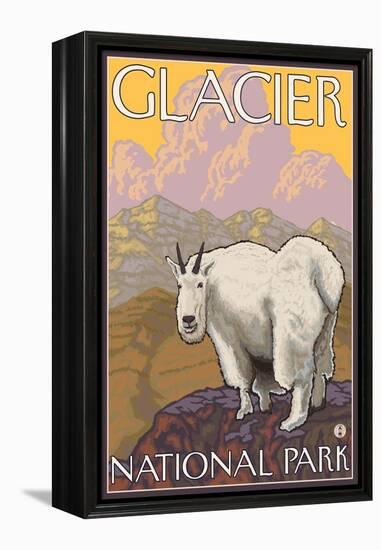 Mountain Goat, Glacier National Park, Montana-Lantern Press-Framed Stretched Canvas