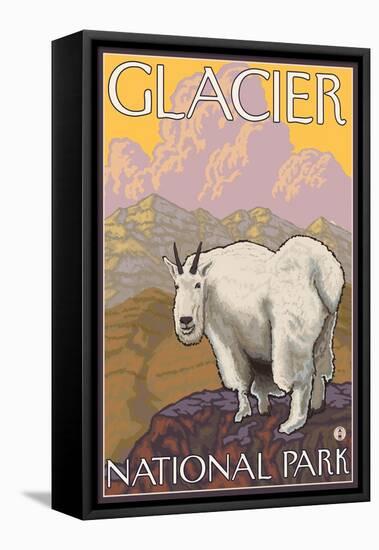 Mountain Goat, Glacier National Park, Montana-Lantern Press-Framed Stretched Canvas