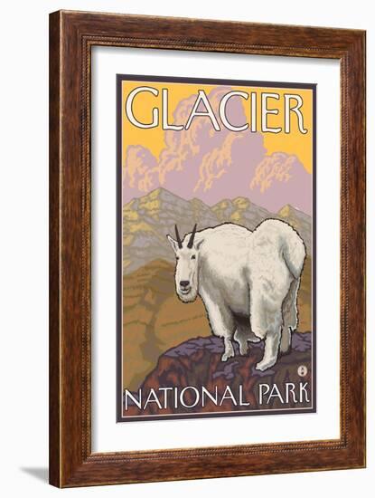 Mountain Goat, Glacier National Park, Montana-Lantern Press-Framed Art Print