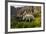 Mountain Goat, Hidden Lake Trail, Glacier NP, Kalispell, Montana-Howie Garber-Framed Photographic Print
