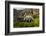 Mountain Goat, Hidden Lake Trail, Glacier NP, Kalispell, Montana-Howie Garber-Framed Photographic Print