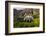 Mountain Goat, Hidden Lake Trail, Glacier NP, Kalispell, Montana-Howie Garber-Framed Photographic Print