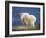 Mountain Goat, Jasper National Park, Alberta, Canada-Larry Ditto-Framed Photographic Print