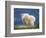 Mountain Goat, Jasper National Park, Alberta, Canada-Larry Ditto-Framed Photographic Print