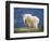 Mountain Goat, Jasper National Park, Alberta, Canada-Larry Ditto-Framed Photographic Print