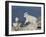 Mountain Goat Kid Jumping, Mt Evans, Arapaho-Roosevelt Nat'l Forest, Colorado, USA-James Hager-Framed Photographic Print