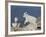 Mountain Goat Kid Jumping, Mt Evans, Arapaho-Roosevelt Nat'l Forest, Colorado, USA-James Hager-Framed Photographic Print