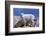 Mountain Goat Kid on Rocks, Mount Evans Recreation Area, Arapaho National Forest, Colorado, Usa-John Barger-Framed Photographic Print