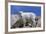 Mountain Goat Kid on Rocks, Mount Evans Recreation Area, Arapaho National Forest, Colorado, Usa-John Barger-Framed Photographic Print