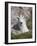 Mountain Goat, Mount Evans, Colorado-James Hager-Framed Photographic Print