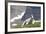 Mountain Goat, Mount Timpanogos Wilderness, Wasatch Mountains, Utah-Howie Garber-Framed Photographic Print