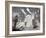 Mountain Goat Nanny and Kid, Mount Evans, Colorado, USA-James Hager-Framed Photographic Print