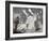 Mountain Goat Nanny and Kid, Mount Evans, Colorado, USA-James Hager-Framed Photographic Print