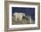 Mountain Goat, nanny with kid-Ken Archer-Framed Photographic Print