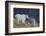 Mountain Goat, nanny with kid-Ken Archer-Framed Photographic Print