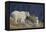 Mountain Goat, nanny with kid-Ken Archer-Framed Premier Image Canvas