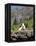 Mountain Goat on Rock, Logan Pass, Glacier National Park, Montana, USA-Jamie & Judy Wild-Framed Premier Image Canvas